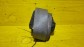 Item:210253
