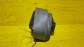 Item:210253