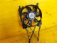 Item:210277