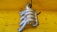 Item:210332