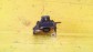 Item:210584