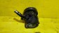 Item:210957