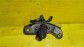 Item:211554