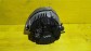 Item:211733