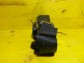 Item:211791