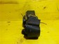 Item:211791