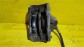Item:211911
