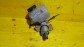 Item:212192