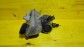 Item:213067