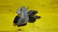 Item:213067