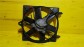 Item:213355