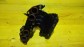 Item:213391