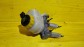 Item:213815