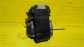 Item:213887