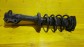 Item:213904