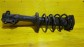 Item:213904