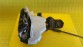 Item:214047