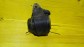 Item:214284