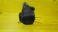 Item:214284