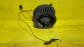 Item:214335