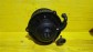 Item:214379