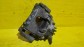 Item:214601