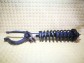 Item:215320