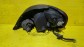 Item:215372