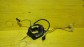 Item:215398