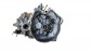 Item:215500