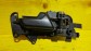 Item:215931