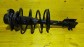 Item:215949