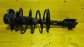 Item:215949