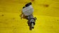 Item:216026