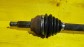 Item:216037