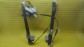 Item:216049