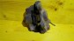 Item:216178