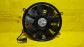 Item:216191