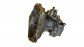 Item:216208