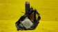 Item:216381