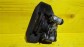 Item:216577