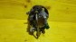 Item:216589