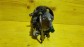 Item:216589