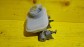 Item:216711
