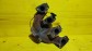 Item:216726