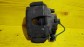 Item:216753