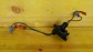 Item:216834