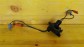 Item:216834
