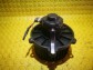 Item:217062