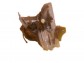 Item:217281